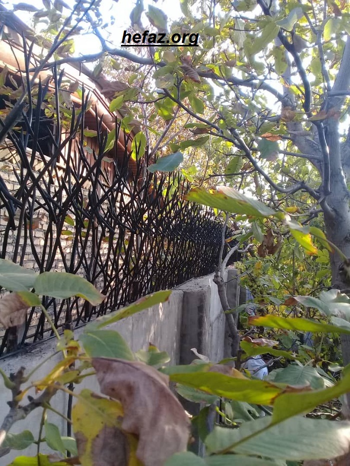 حفاظ شاخ گوزنی محوطه باغ ویلا 